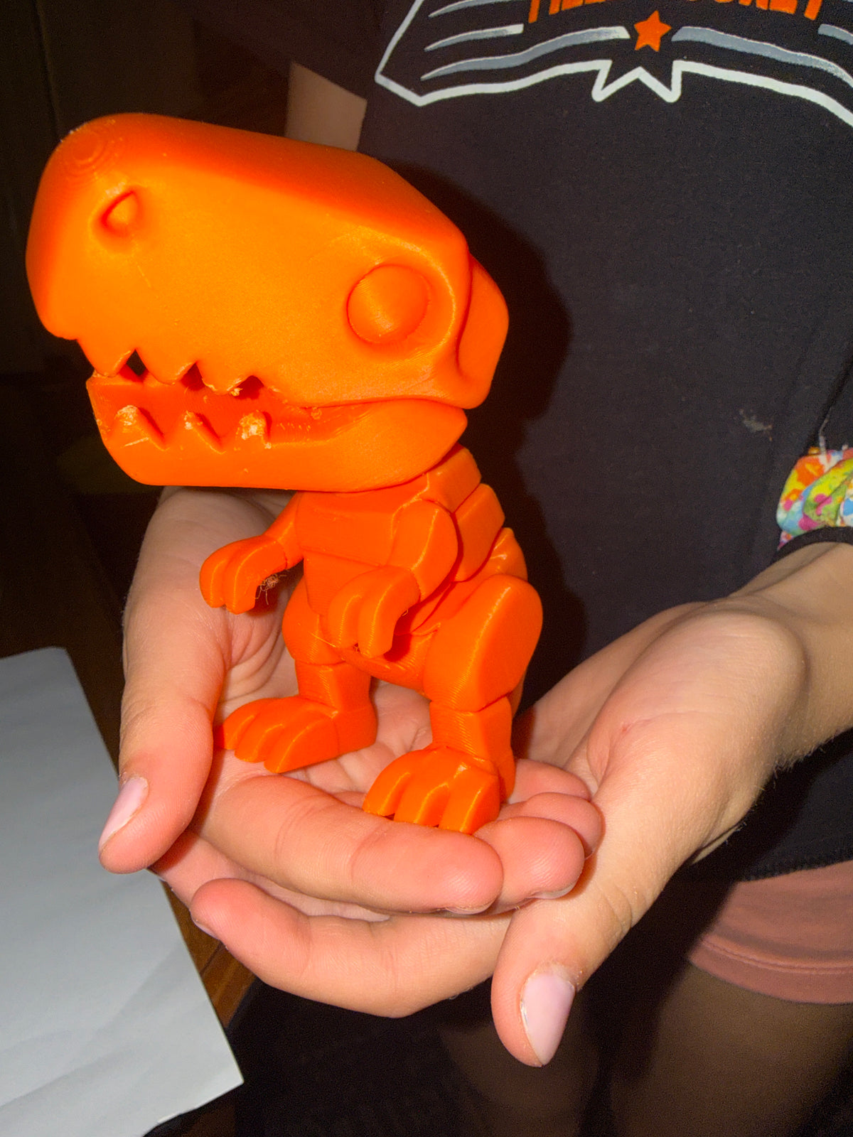 Large 3D Print