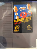 🔵 NES Clu Clu Land