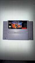 🟡 SNES Populous
