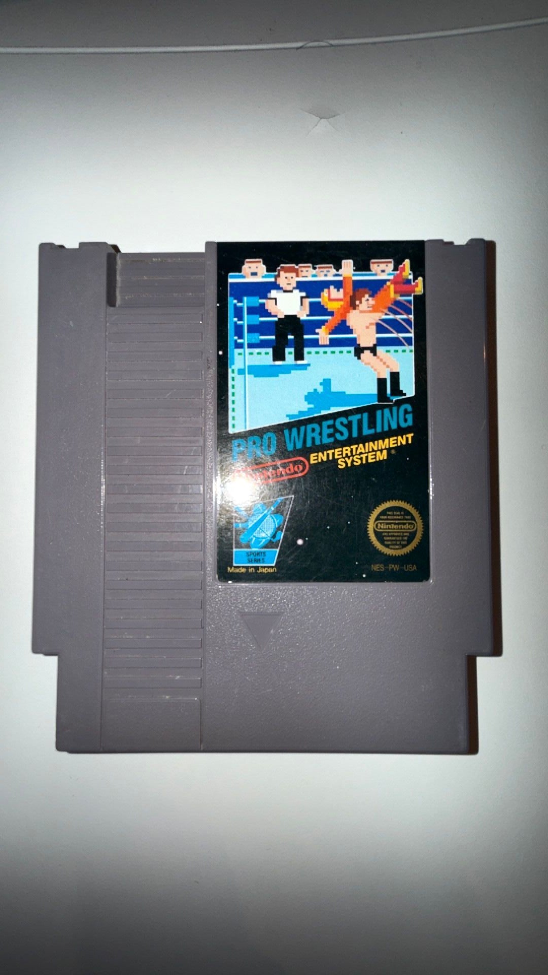 🔵 NES Pro Wrestling 3 Screw